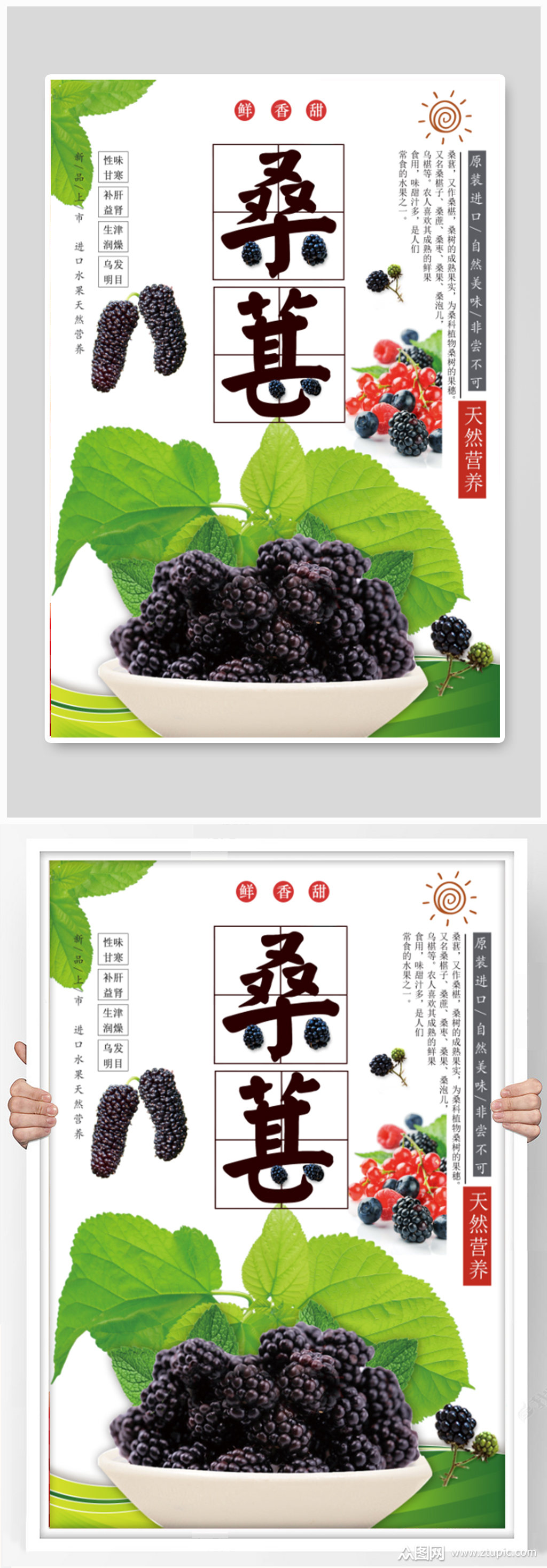 天然营养桑葚海报