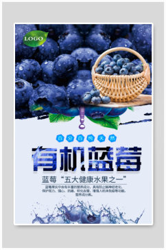 有机蓝莓宣传海报