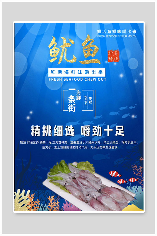 鲜活鱿鱼宣传海报