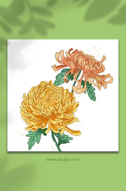 国潮菊花工笔装饰插画-众图网