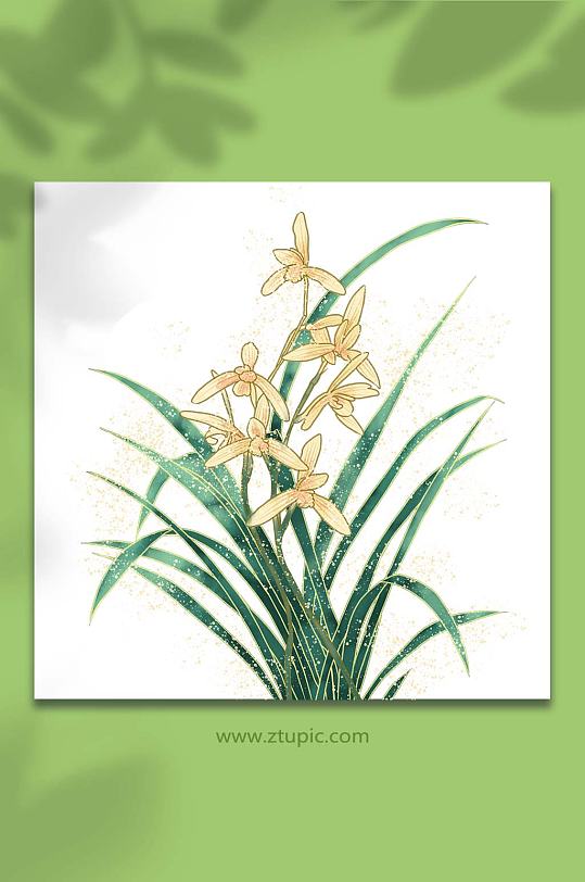 兰花国风工笔插画-众图网