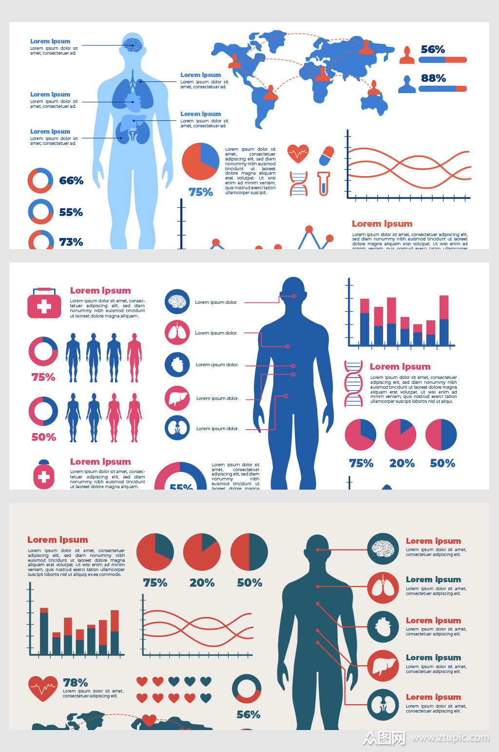 创意矢量科技人体结构数据背景模板下载-编号1776163-众图网