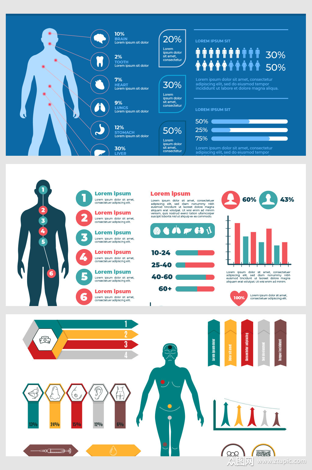 创意蓝色矢量科技人体结构数据背景模板下载-编号1776162-众图网