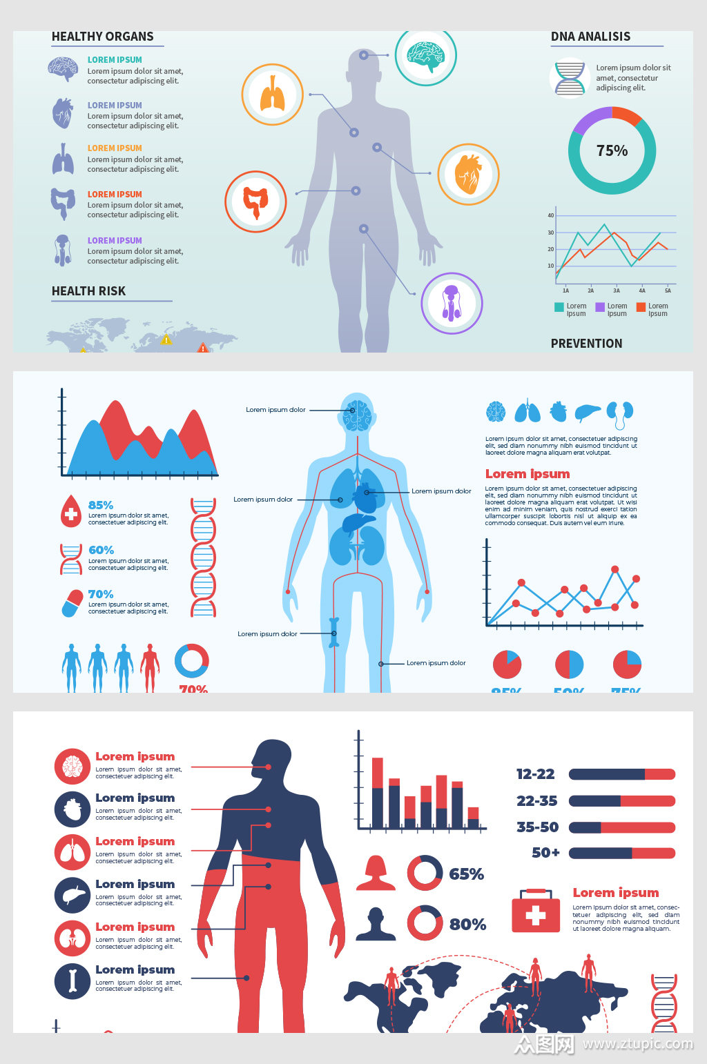 创意矢量科技人体结构数据背景模板下载-编号1776142-众图网