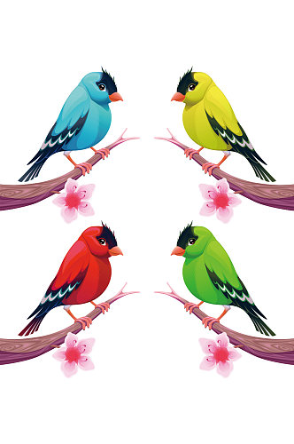 创意矢量质感彩色小鸟鹦鹉海报设计