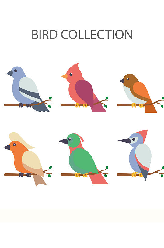 创意质感彩色小鸟鹦鹉动物元素设计