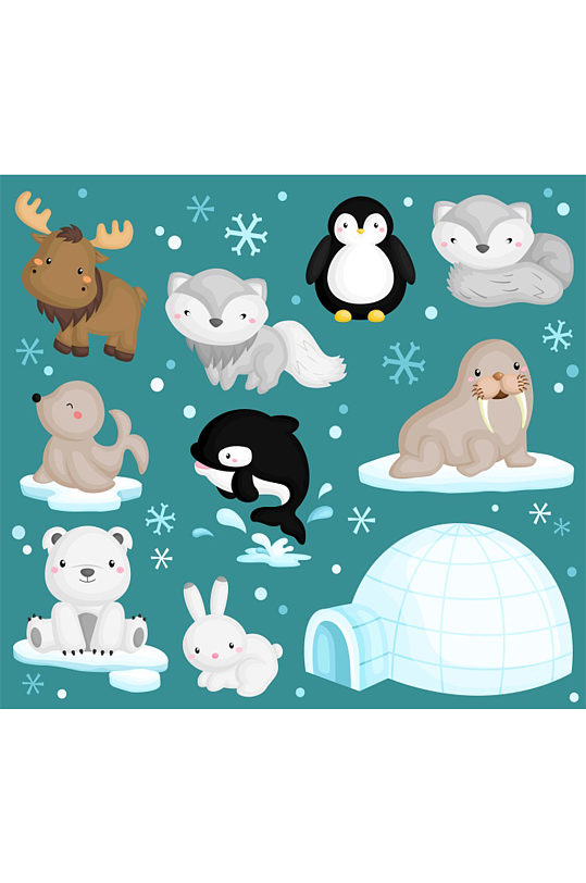 创意矢量卡通北极熊海豹海狮企鹅元素设计