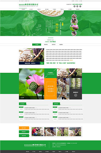 创意绿色蔬菜网页设计