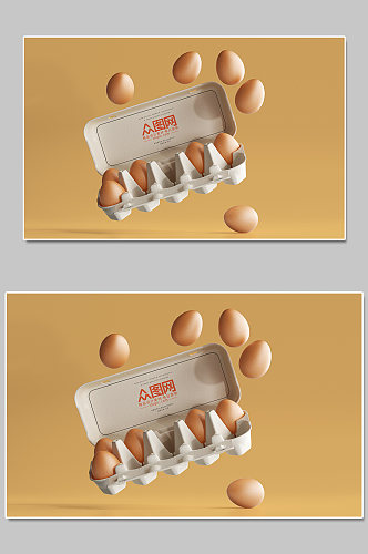 简约大气鸡蛋鸡蛋盒子设计
