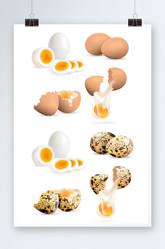鸡蛋蛋清小鸡元素