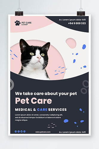 简约小猫宠物店海报设计
