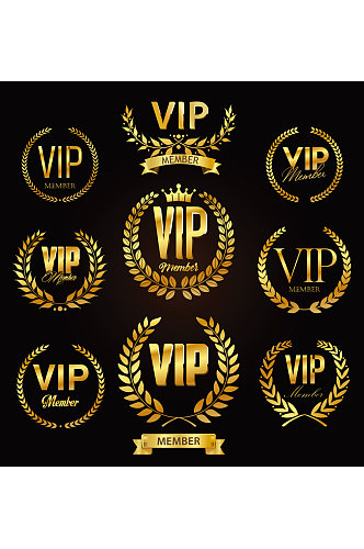 创意矢量VIP会员标签元素设计