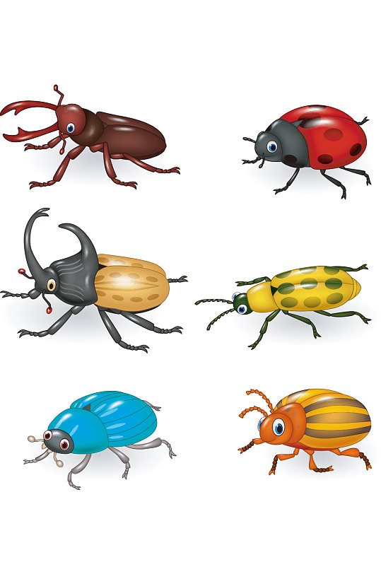 昆虫甲壳虫动物元素设计
