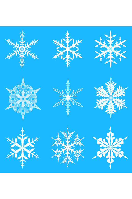 简约大气雪花冰花冬天元素设计