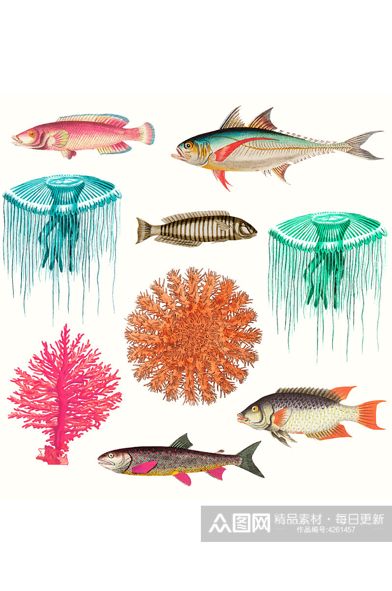 简约鱼海鱼带鱼元素设计素材