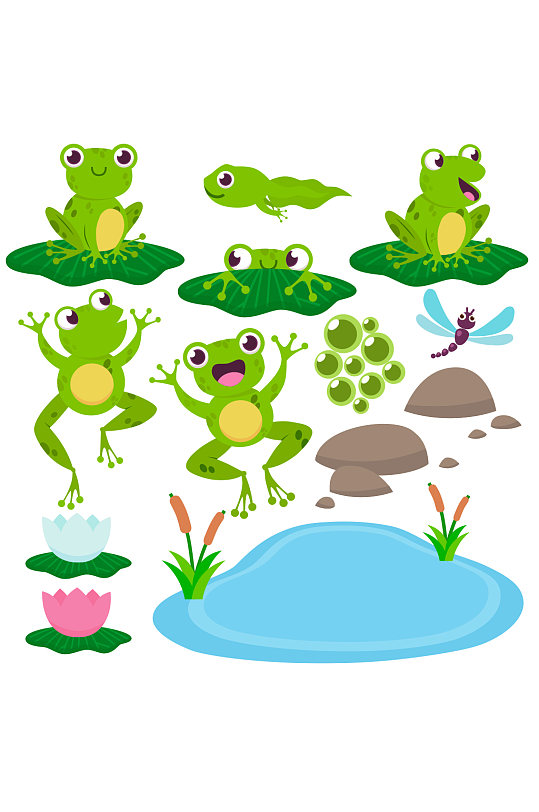 青蛙蝌蚪石头元素设计