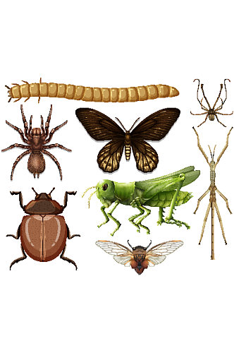 卡通矢量昆虫蚂蚱蜻蜓蚊子元素设计