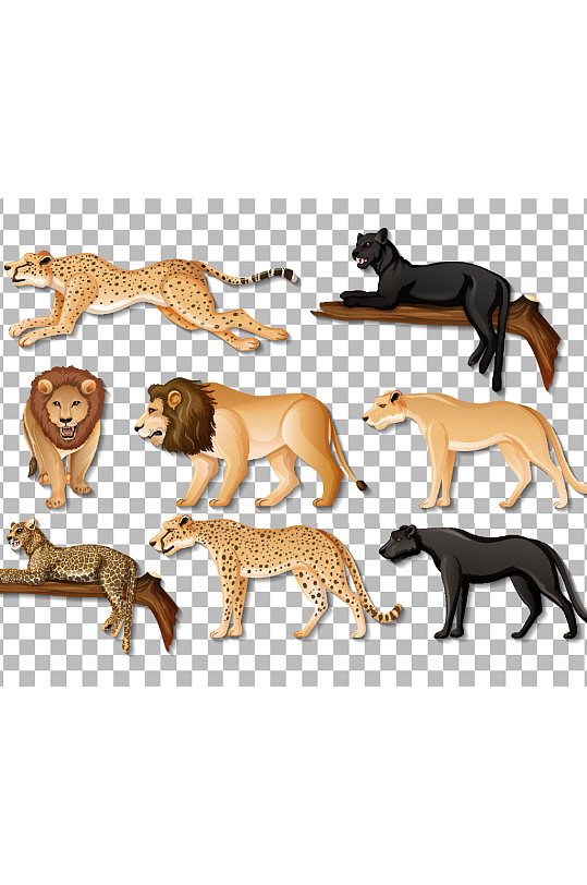 创意矢量动物狮子豹子海报设计