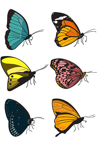 创意简约蝴蝶彩色组合元素设计