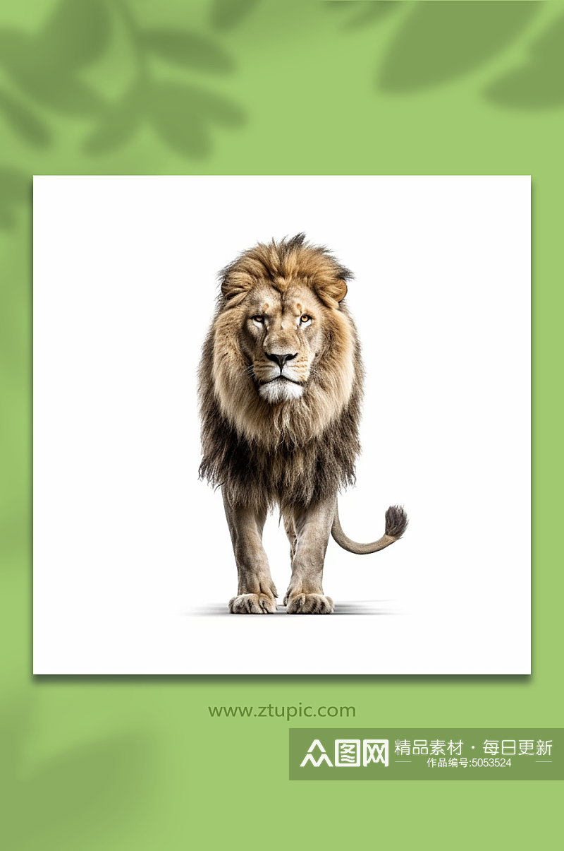 AI数字艺术狮子动物摄影图素材