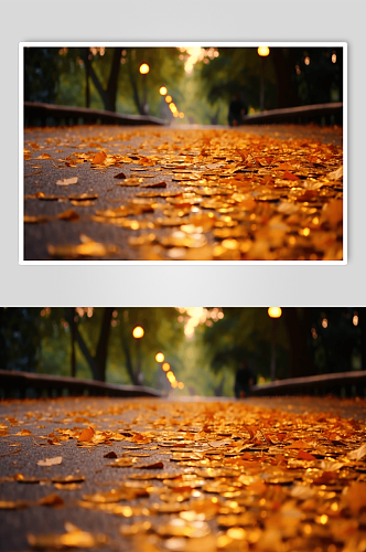 黄色树叶摄影图片