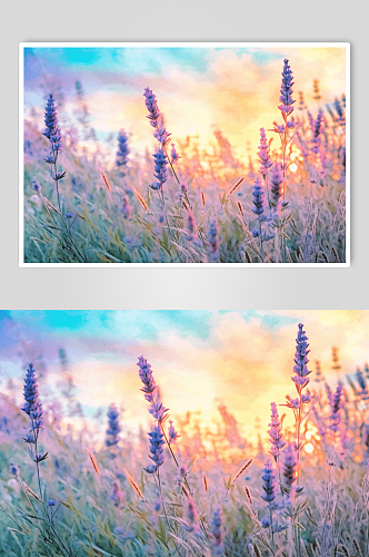 数字艺术紫罗兰花朵图片