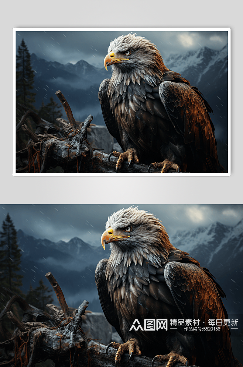 数字艺术老鹰动物图片素材