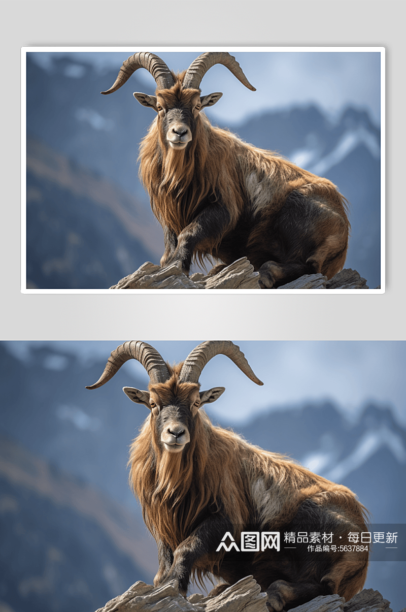 数字艺术动物山羊图片素材