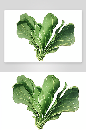 数字艺术绿色青菜蔬菜
