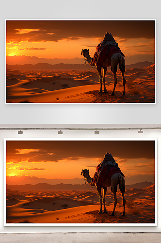 沙漠中的骆驼背景