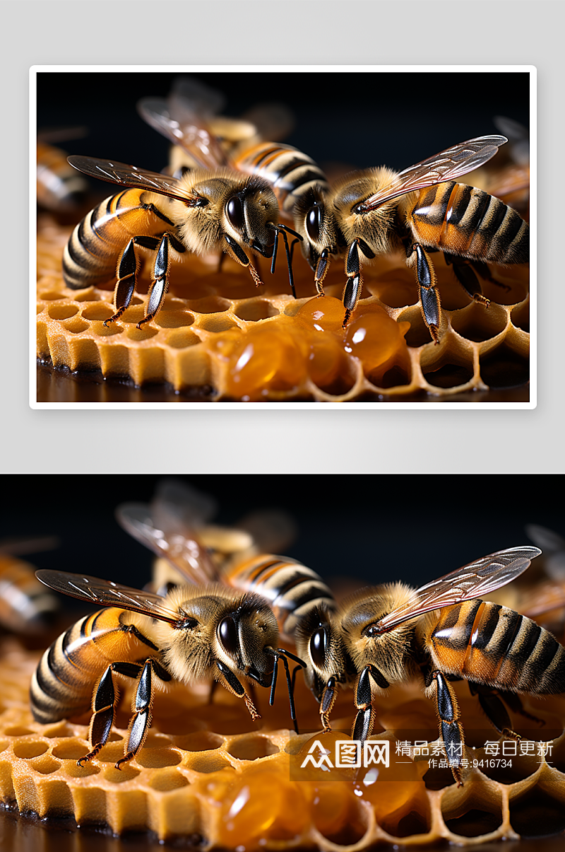 蜂巢里的小蜜蜂背景素材