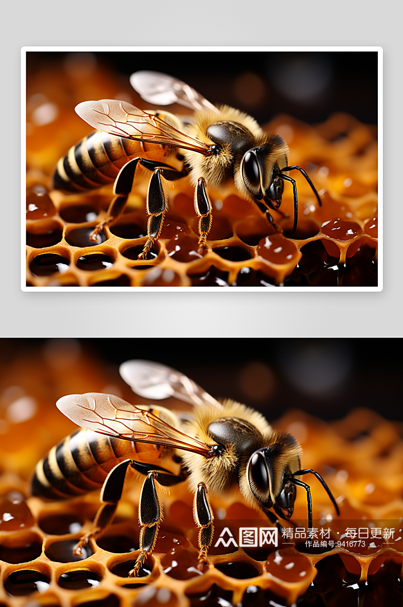 蜂巢里的小蜜蜂背景素材