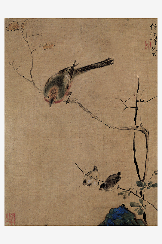 创意高清花鸟装饰画-众图网