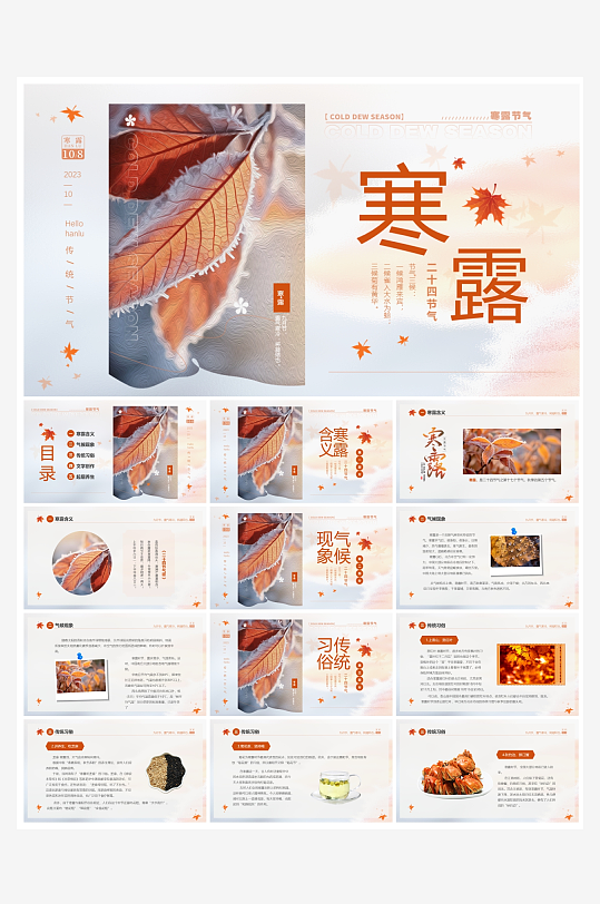 创意简约寒露节气PPT模板-众图网