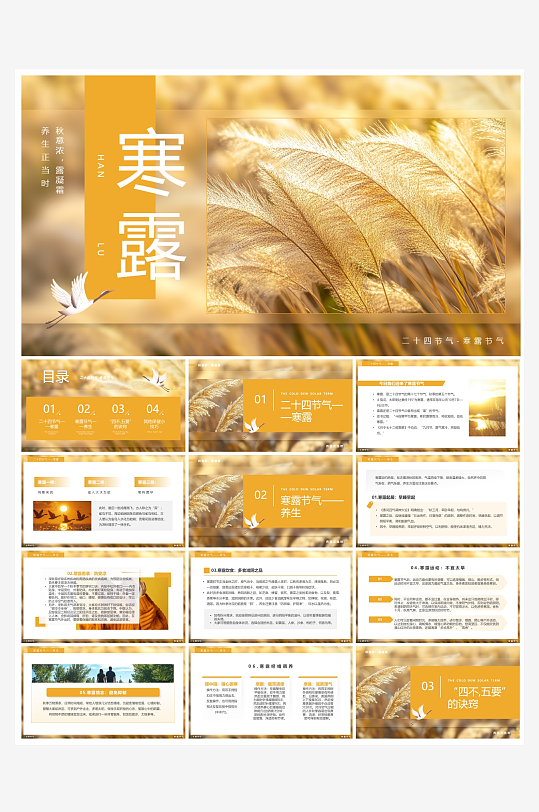 创意简约寒露节气PPT模板-众图网