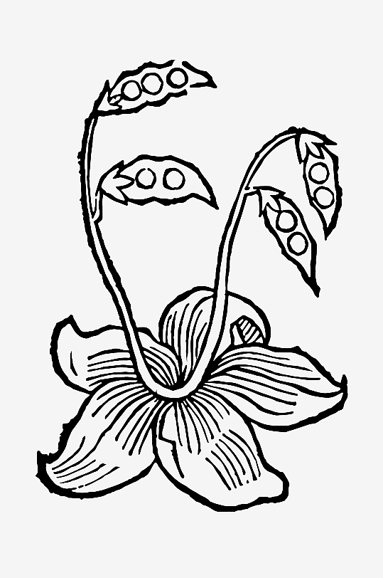 创意矢量植物元素设计-众图网