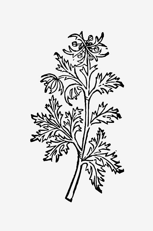 创意矢量植物元素设计-众图网