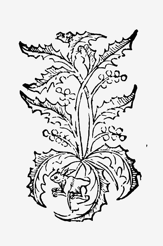 创意矢量植物元素设计-众图网