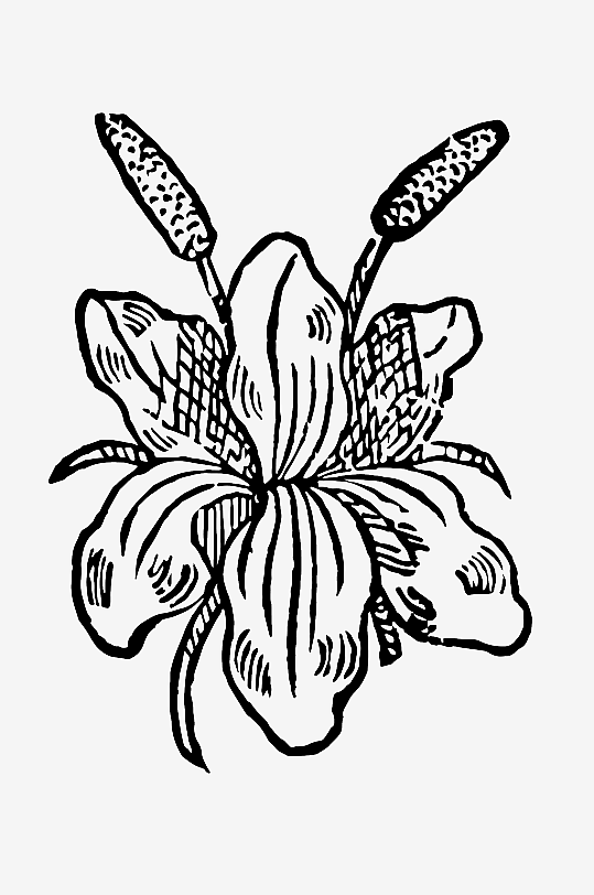 创意矢量植物元素设计-众图网