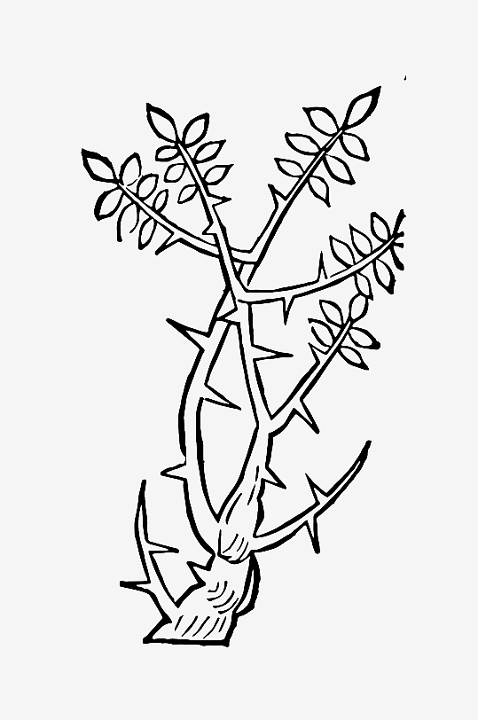 创意矢量植物元素设计-众图网