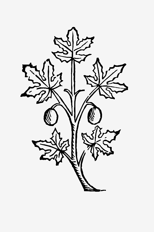 创意矢量植物元素设计-众图网