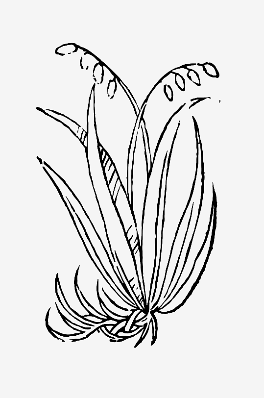 创意矢量植物元素设计-众图网