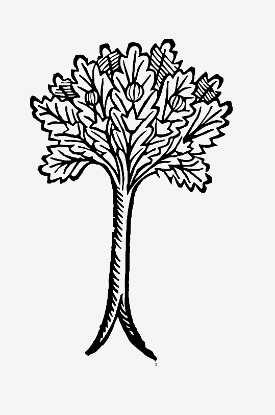 创意矢量植物元素设计-众图网