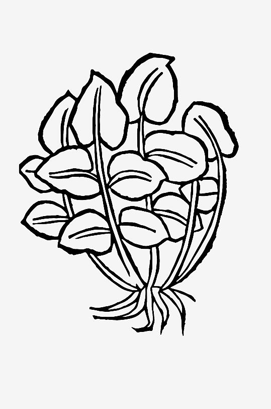 创意矢量植物元素设计-众图网