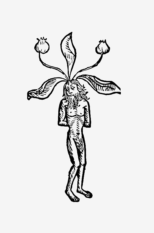 创意矢量植物元素设计-众图网