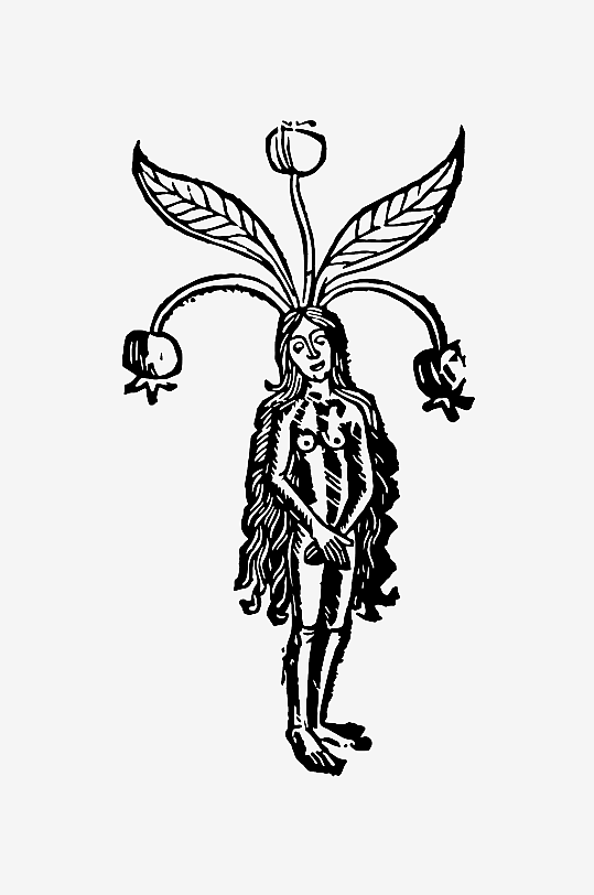 创意矢量植物元素设计-众图网