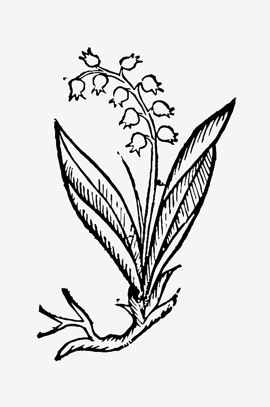 创意矢量植物元素设计-众图网