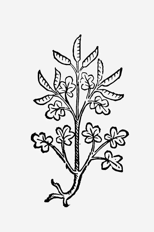 创意矢量植物元素设计-众图网