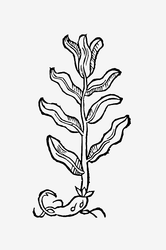 创意矢量植物元素设计-众图网