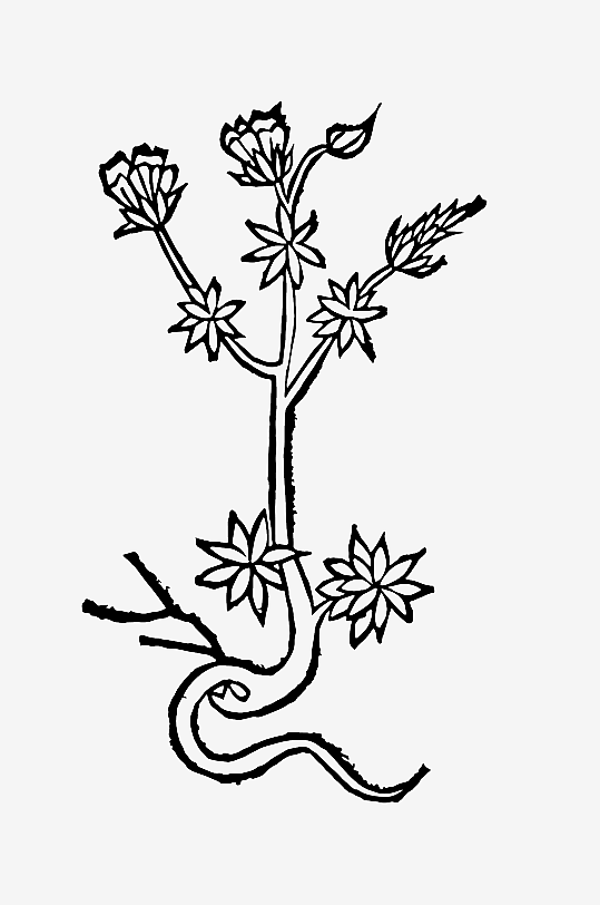 创意矢量植物元素设计-众图网